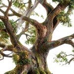 Arthurian Fantasy Children’s Folk Tale eBook by Earth and Sky-0